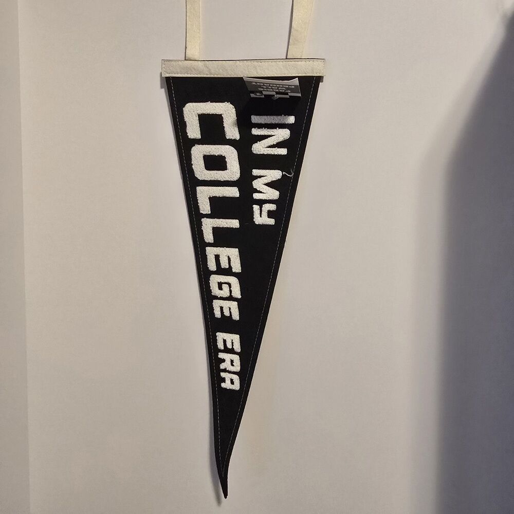 Pack of 20 Fabric Wall Pennant Flags Tapered for Doors & Walls